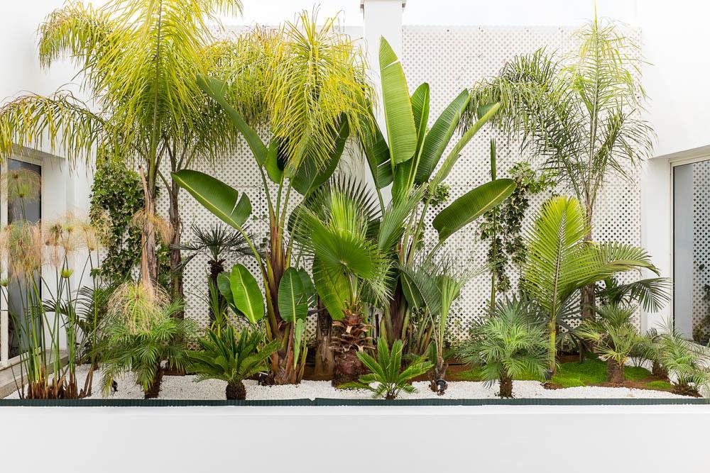 Riad Zyo Rabat Exteriör bild